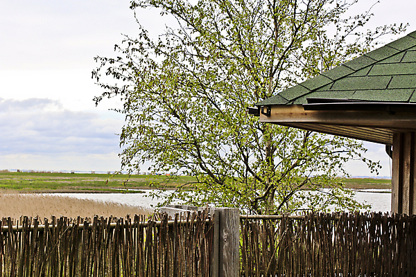 포토 JPG 해외이미지 식물 구름 계절 호수 백그라운드 잎 밭 자연 하늘 날씨 독일 파노라마 풍경 사람없음 야외 목재 초록색 파란색 컬러풀 햇빛 반사 맑음 일몰 젖음 시골 관찰 연못 황무지 습지 오두막 내추럴 보호구역 해외포토 자연요소 나무 유럽 컬러 농업 재료 모션 촬영기법 태양 노을 생태계 구역 파일형식 이미지허브