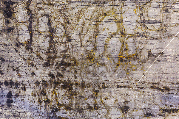 포토 JPG 해외이미지 접시 디자인 산업 벽 백그라운드 패턴 표면 추상 사람없음 장식 가로 반사 금속 어둠 페인트 공백 회색 추위 수확 점 거친 플랫 매끈함 철 부식 그림 질감 날것 시트 갑옷 그런지 옛날 진짜 철강 해외포토 식기 컬러 무늬 농업 재질 감각 보호장비 파일형식 이미지허브