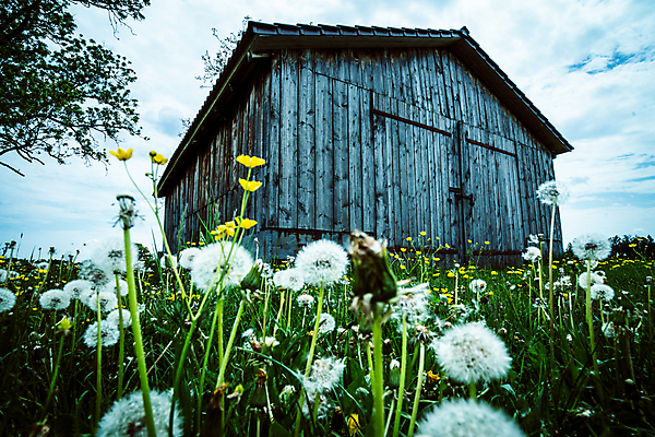 포토 JPG 해외이미지 나무 계절 공원 여행 백그라운드 잎 밭 농업 건축양식 자연 하늘 주택 풍경 사람없음 야외 건물 목재 빨간색 초록색 여름 파란색 농작물 울타리 컬러풀 농장 농경지 노란색 마을 일몰 수확 가을 시골 숲 복고 내추럴 외양간 밭일 서쪽 옛날 해외포토 식물 건축물 공공시설 건축 산업 컬러 재료 담장 노을 방향 생태계 파일형식 이미지허브