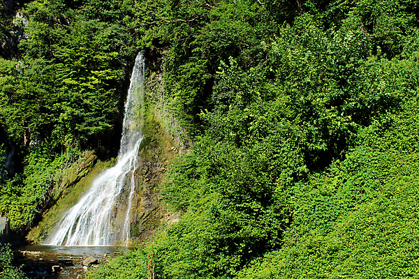 포토 JPG 해외이미지 나무 자연 산 풍경 사람없음 야외 물 강 환경 봄 이탈리아 거품 폭포 가을 흰색 개울 숲 알프스 해외포토 자연요소 식물 계절 유럽 컬러 생태계 파일형식 이미지허브