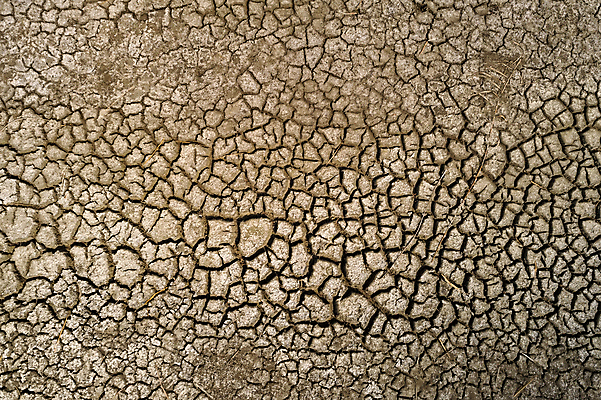 포토 JPG 해외이미지 계절 지구 호수 모래 백그라운드 패턴 자연 표면 날씨 건조 풍경 사람없음 물 여름 글로벌 갈색 환경 흙 손상 사막 슬픔 죽음 뜨거움 거친 변화 균열 댐 땅 부식 질감 먼지 충격 가뭄 지구온난화 내추럴 기후변화 깨짐 땅바닥 생태학 위기 재앙 해외포토 자연요소 공공시설 교육 감정 컬러 컨셉 무늬 모션 바닥 생태계 파일형식 이미지허브