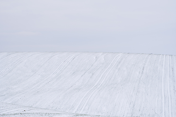 포토 JPG 해외이미지 식물 계절 백그라운드 잎 겨울 밭 농업 자연 건강 풍경 잔디 사람없음 초록색 농작물 햇빛 농장 새싹 환경 정원 봄 추위 성장 가을 흰색 시골 신선 시리얼 밀 유기농 서리 내추럴 밭일 해외포토 웰빙 산업 음식 컬러 곡류 태양 생태계 파일형식 이미지허브