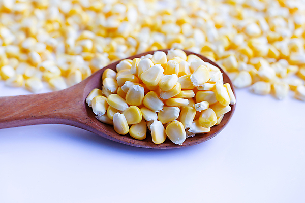 포토 JPG 해외이미지 실내 옥수수 사람없음 아웃포커스 흰배경 나무숟가락 옥수수알갱이 많음 해외포토 백그라운드 컨셉 곡류 촬영기법 내부 숟가락 흰색 파일형식 이미지허브