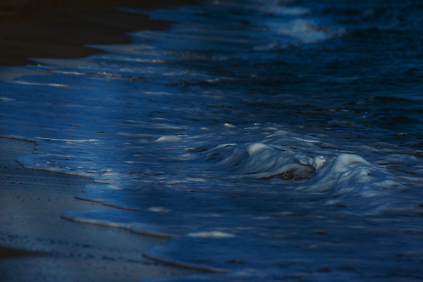 포토 JPG 해외이미지 모래 파도 바다 여행 백그라운드 자연 조류 표면 날씨 휴가 휴식 해변 사람없음 물 빛 햇빛 반사 거품 에너지 흰색 만 뜨거움 서핑 황금 닫기 떨어짐 매끈함 질감 웨이브 남쪽 석호 내추럴 파라다이스 해외포토 자연요소 동물 컬러 컨셉 모션 태양 수상스포츠 감각 방향 생태계 파일형식 이미지허브