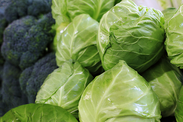 포토 JPG 해외이미지 잡화 지구 음식 백그라운드 농업 채소 재료 자연 감자 건강 종류 사람없음 초록색 햇빛 갈색 쌓기 상점 에너지 수확 신선 그룹 시장 상품 먹기 유기농 양배추 날것 뿌리 먼지 흙더미 슈퍼마켓 내추럴 녹말 땅바닥 밭일 숙성 채식주의자 탄수화물 해외포토 웰빙 산업 컬러 모션 바닥 태양 흙 생태계 채식 파일형식 더미 이미지허브