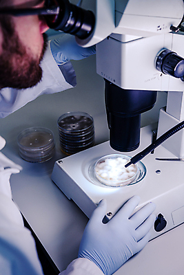 포토 JPG 해외이미지 직업 산업 과학 컨셉 건강 병원 현미경 실험 사람없음 전자제품 스터디 약 기계 장비 의사 실험실 바이러스 질병 생명공학 연구원 과학자 분석 묘사 생물학 감염 미생물 발견 조제 혁명 개발 화학물질 화학자 해외포토 교육 의학 생물 실험기구 학습 의료진 화학 만들기 학자 파일형식 이미지허브