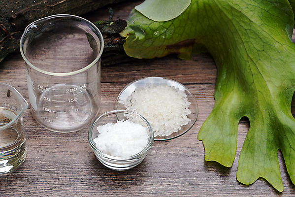 포토 JPG 해외이미지 라이프스타일 외관 컨셉 잎 신체 탁자 휴식 건강 육류 동양인 사람없음 목재 치료 초록색 스파 화장품 흰색 신선 마사지 고급 씻기 크리스탈 허브 피부 유기농 소금 향 아로마테라피 테라피 내추럴 구성 돌봄 바이오 보습 수분크림 위생관리 이국적 추출 해외포토 나무 식물 웰빙 컬러 가구 식재료 재료 의학 모션 관리 인종 생활 신체부위 뷰티 청결 광석 파일형식 이미지허브