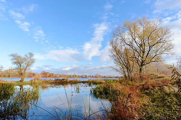포토 JPG 해외이미지 나무 구름 계절 호수 자연 하늘 아침 갈대 풍경 사람없음 물 강 햇빛 반사 맑음 가을 연못 버드나무 미루나무 세피아 우크라이나 해외포토 주간 자연요소 식물 유럽 날씨 촬영기법 태양 생태계 파일형식 이미지허브