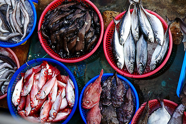 포토 JPG 해외이미지 동물 전통 아시아 음식 바다 백그라운드 재료 낚시 건강 종류 어류 요리 동양인 사람없음 야외 물 세일 항구 냉동 얼음 식사 젖음 추위 신선 시장 먹기 해산물 무역 날것 낚시꾼 지역 포트 소매 단백질 매각 민물 수경재배 해외포토 자연요소 나라 산업 교통시설 모션 레저 인종 수중동물 영양소 파일형식 이미지허브