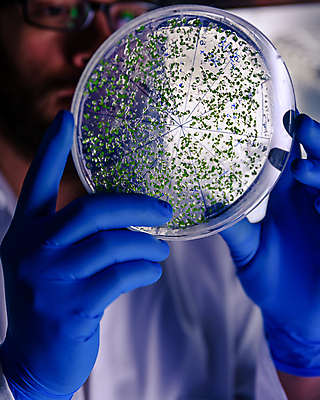 포토 JPG 해외이미지 그릇 손 문화 과학 장갑 컨셉 건강 병원 실험 사람없음 치료 스터디 약 장비 잡기 기술자 실험실 바이러스 질병 과학자 분석 생물학 감염 미생물 냉장고 박테리아 조제 혁명 개발 화학물질 해외포토 직업 식기 잡화 교육 의학 모션 생물 신체부위 학습 가전제품 화학 만들기 학자 파일형식 이미지허브