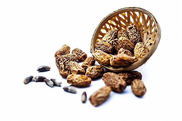 포토 JPG 해외이미지 전통 접시 음식 다이어트 과일 자연 건조 건강 손바닥 요리 사람없음 갈색 쌓기 신선 그룹 날짜 중앙 달콤 맛 이슬람교 먹기 유기농 질감 날것 대추 동쪽 흙더미 내추럴 라마단 봉황 아랍어 에센스 이국적 채식주의자 해외포토 식기 손 웰빙 종교 컬러 컨셉 모션 흙 화장품 방향 생태계 채식 파일형식 더미 이미지허브