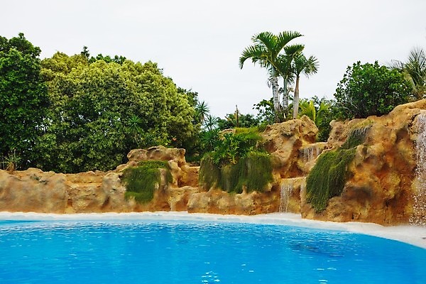 포토 JPG 해외이미지 나무 식물 백그라운드 자연 휴가 수영장 사람없음 야외 초록색 물 여름 파란색 환경 수영 폭포 서식지 내추럴 오아시스 이국적 터키석 카피스페이스 해외포토 자연요소 계절 컬러 공백 수상스포츠 보석 생태계 파일형식 이미지허브