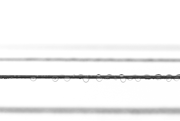 포토 JPG 해외이미지 선 밧줄 줄 백그라운드 자연 날씨 추상 흑백 사람없음 가로 물 거품 젖음 흰색 물방울 투명 액체 코드 떨어짐 빨랫줄 소프트포커스 이슬 빗방울 구슬 보케 내추럴 블러 카피스페이스 해외포토 자연요소 컬러 컨셉 무늬 촬영기법 공백 비_날씨 생태계 파일형식 이미지허브