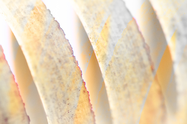 포토 JPG 해외이미지 식물 디자인 백그라운드 잎 패턴 자연 벽지 추상 사람없음 장식 빨간색 초록색 빛 컬러풀 갈색 노란색 꿈 흰색 닫기 묘사 오브젝트 유기농 질감 내추럴 고립 광 그런지 대칭 엘리먼트 스타일 해외포토 웰빙 컬러 무늬 모션 생태계 파일형식 이미지허브