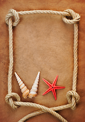 포토 JPG 해외이미지 종이 밧줄 백그라운드 불가사리 프레임 사람없음 갈색 사각형 조개껍데기 엉킴 질감 카피스페이스 해외포토 도형 줄 컬러 조개 극피동물 공백 파일형식 이미지허브