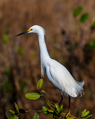 포토 JPG 해외이미지 북아메리카 사람없음 미국 플로리다 해외포토 아메리카 파일형식 이미지허브