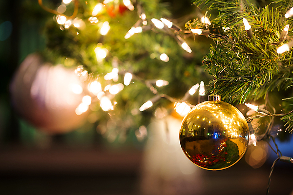 포토 JPG 해외이미지 나무 디자인 계절 행복 백그라운드 크리스마스 겨울 공 추상 휴가 새로움 사람없음 장식 빨간색 초록색 빛 우주 장식볼 나뭇가지 연도 보케 전나무 해외포토 식물 기념일 감정 컬러 컨셉 무늬 파일형식 이미지허브