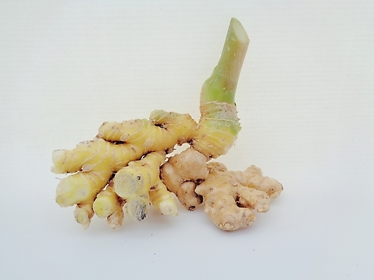 포토 JPG 해외이미지 나무 식물 공원 꽃잎 꽃 음식 백그라운드 잎 꽃무늬 자연 건강 사람없음 야외 장식 빨간색 초록색 컬러풀 정원 벚꽃 신선 소나무 닫기 약초 유기농 뿌리 생강 원뿔 내추럴 이국적 해외포토 도형 웰빙 공공시설 컬러 무늬 채소 모션 풀_식물 생태계 파일형식 이미지허브