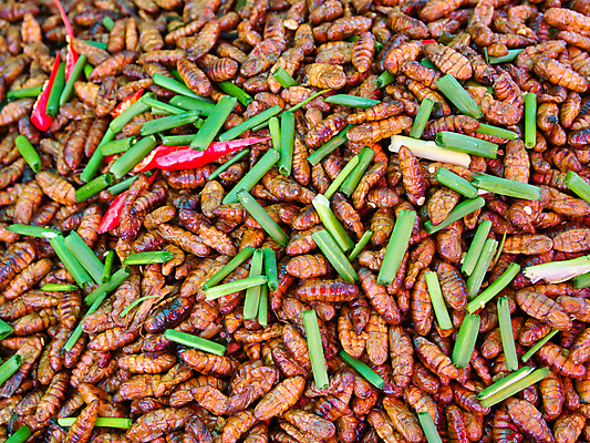 포토 JPG 해외이미지 아시아 문화 음식 곤충 백그라운드 고추 거리 건강 요리 동양인 사람없음 식사 튀김 신선 시장 맛 벌레 굽기 먹기 캄보디아 단백질 식용 해외포토 동물 나라 컨셉 채소 모션 인종 구이 영양소 파일형식 이미지허브