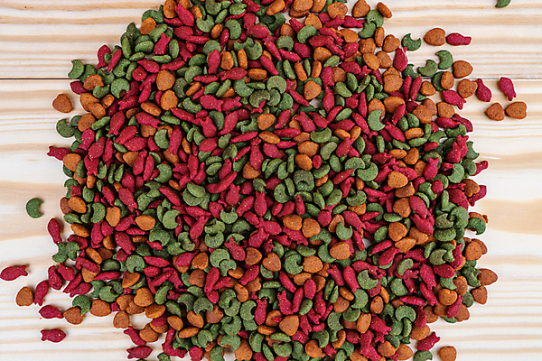 포토 JPG 해외이미지 동물 접시 음식 백그라운드 다이어트 재료 탁자 뼈 건조 건강 사람없음 목재 빨간색 반려동물 갈색 쌓기 금속 식사 저녁식사 고양이 대접 신선 사발 개 맛 강아지 정상 혼합 먹이 먹기 배고픔 오브젝트 유기농 질감 송곳니 내추럴 돌봄 해외포토 나무 식기 웰빙 컬러 가구 컨셉 포유류 모션 재질 사기그릇 치아 파일형식 이미지허브