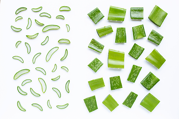 포토 JPG 해외이미지 스튜디오촬영 단면 실내 사람없음 흰배경 알로에 해외포토 식물 백그라운드 내부 흰색 파일형식 이미지허브