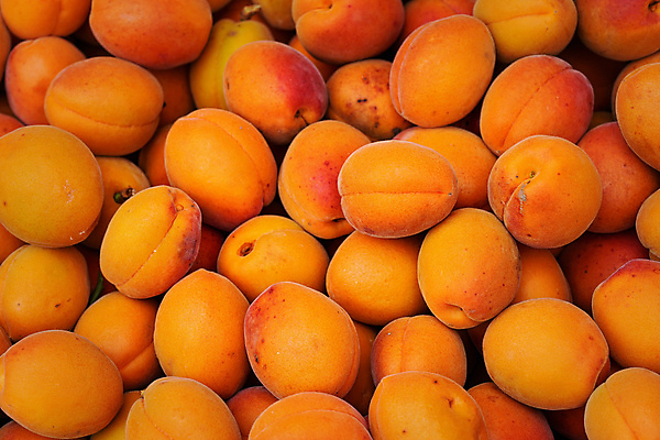 포토 JPG 해외이미지 잡화 음식 백그라운드 잎 농업 다이어트 오렌지 재료 자연 디저트 건강 사람없음 농장 노란색 정원 수확 신선 그룹 시장 닫기 달콤 맛 정상 묘사 유기농 날것 머리위 흙더미 내추럴 살구 숙성 채식주의자 많음 해외포토 식물 웰빙 산업 컬러 컨셉 과일 모션 흙 생태계 채식 파일형식 더미 이미지허브