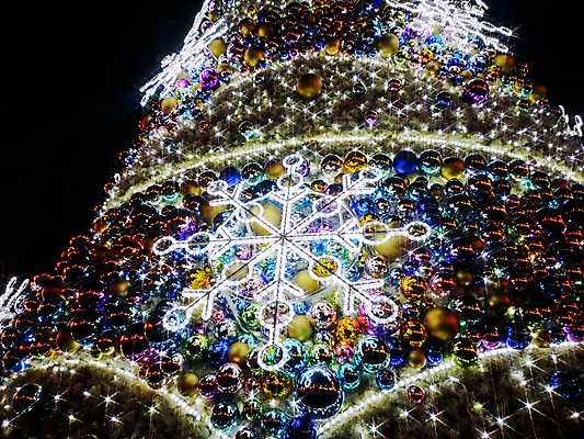 포토 JPG 해외이미지 나무 디자인 계절 유럽 별 크리스마스 겨울 공 추상 휴가 새로움 사람없음 장식 빨간색 초록색 파란색 빛 컬러풀 크리스마스트리 축제 장식볼 축하 소나무 눈송이 시장 야간 12월 연도 폴란드 브로츠와프 해외포토 자연요소 식물 기념일 나라 컬러 컨셉 무늬 눈_날씨 날짜 파일형식 이미지허브