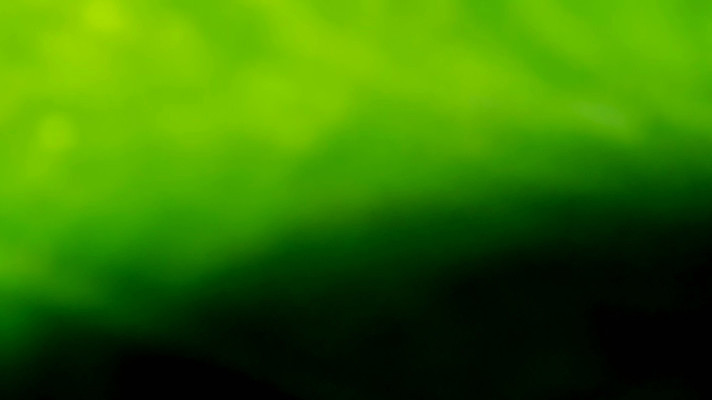 포토 JPG 해외이미지 템플릿 디자인 파도 백그라운드 잎 패턴 곡선 일러스트 자연 벽지 추상 미래 창조 미술 경사 사람없음 가로 초록색 빛 컬러풀 햇빛 우주 맑음 수중 공백 흐름 흰색 매끈함 소프트포커스 질감 보케 심플 부드러움 비네팅 깊이 블러 터키석 카피스페이스 해외일러스트 식물 선 바다 컬러 컨셉 무늬 날씨 문화예술 촬영기법 태양 감각 보석 생태계 파일형식 이미지허브