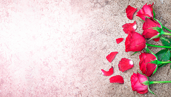 포토 JPG 해외이미지 식물 꽃잎 꽃 꽃다발 결혼 백그라운드 잎 꽃무늬 자연 탁자 휴가 발렌타인데이 선물 사랑 사람없음 목재 장식 빨간색 초록색 컬러풀 장미 귀여움 수확 벚꽃 흰색 하트 축하 신선 생일 오브젝트 아로마 시멘트 내추럴 카피스페이스 해외포토 모양 나무 기념일 감정 컬러 가구 컨셉 무늬 농업 재료 데이이벤트 이벤트 공백 생태계 파일형식 이미지허브