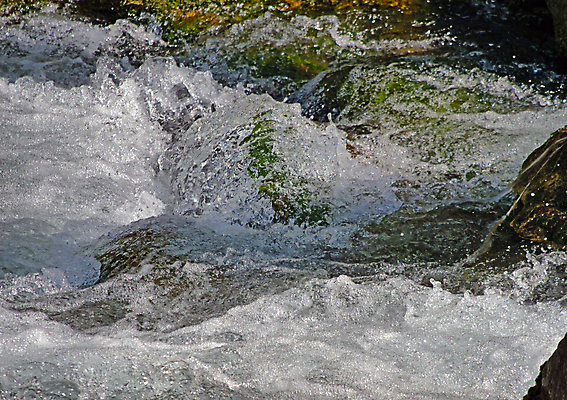 포토 JPG 해외이미지 나무 외관 공원 호수 물결 파도 여행 백그라운드 모션 자연 표면 산 풍경 사람없음 야외 초록색 물 여름 강 힘 봄 거품 폭포 젖음 흐름 흰색 신선 액체 개울 급류 떨어짐 순수 질감 분무기 내추럴 전국 해외포토 자연요소 식물 계절 공공시설 바다 컬러 컨셉 생태계 파일형식 이미지허브