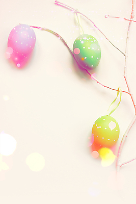 포토 JPG 해외이미지 나무 전통 디자인 배너 계절 꽃 리본 분홍색 백그라운드 패턴 벽지 휴가 부활절 매달리기 선물 사람없음 목재 장식 초록색 컬러풀 노란색 우주 계란 축제 봄 흰색 나뭇가지 시골 축하 신용카드 개화 심볼 보케 파스텔톤 해외포토 식물 기념일 컬러 컨셉 무늬 재료 모션 금융 알 파일형식 이미지허브