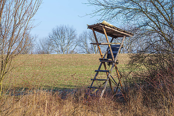포토 JPG 해외이미지 나무 밭 의자 사다리 자연 하늘 날씨 서기 풍경 사람없음 야외 목재 초록색 파란색 갈색 탑 시골 관찰 숲 큼 사냥 오르기 사냥꾼 시각장애인 옛날 해외포토 식물 직업 건축물 컬러 가구 농업 재료 모션 도구 크기 장애인 생태계 파일형식 이미지허브