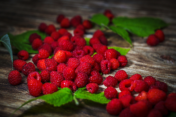 포토 JPG 해외이미지 모양 식물 열매 음식 백그라운드 잎 다이어트 과일 재료 자연 디저트 건강 사람없음 목재 가로 빨간색 초록색 컬러풀 활발 신선 그룹 사발 닫기 달콤 맛 먹기 유기농 질감 날것 산딸기 내추럴 숙성 채식주의자 카피스페이스 디톡스 비건 해외포토 나무 웰빙 컬러 컨셉 모션 공백 사기그릇 생태계 채식 파일형식 이미지허브