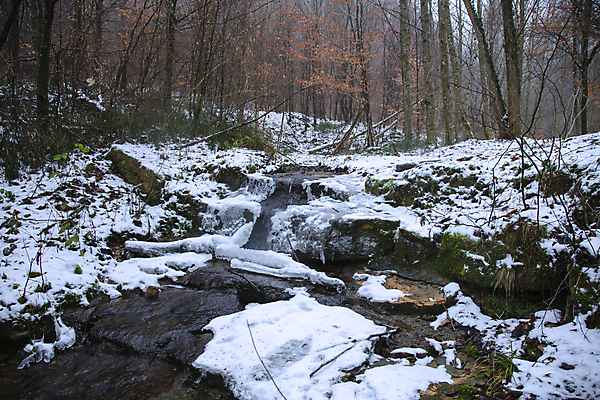 포토 JPG 해외이미지 나무 식물 계절 공원 여행 백그라운드 잎 크리스마스 겨울 자연 하늘 날씨 산 아이디어 풍경 사람없음 물 강 얼음 폭포 흐름 추위 안개 덮개 가을 흰색 신선 개울 숲 서리 온도 해외포토 자연요소 공공시설 기념일 컬러 컨셉 뚜껑 생태계 파일형식 이미지허브