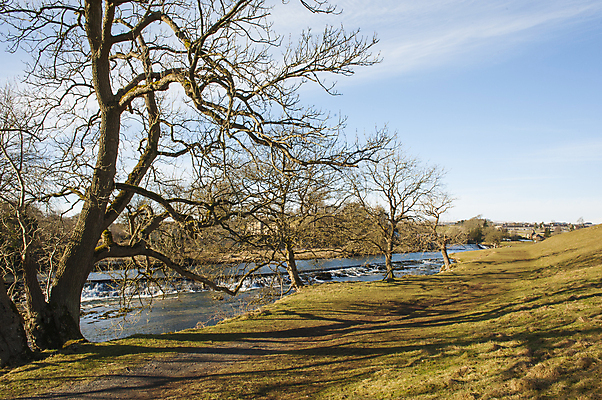 포토 JPG 해외이미지 나무 영어 겨울 밭 자연 하늘 영국 잉글랜드 파노라마 풍경 사람없음 야외 물 파란색 강 폭포 나뭇가지 시골 개울 강가 오솔길 장면 해외포토 자연요소 식물 문자 계절 유럽 길 컬러 농업 촬영기법 생태계 파일형식 이미지허브