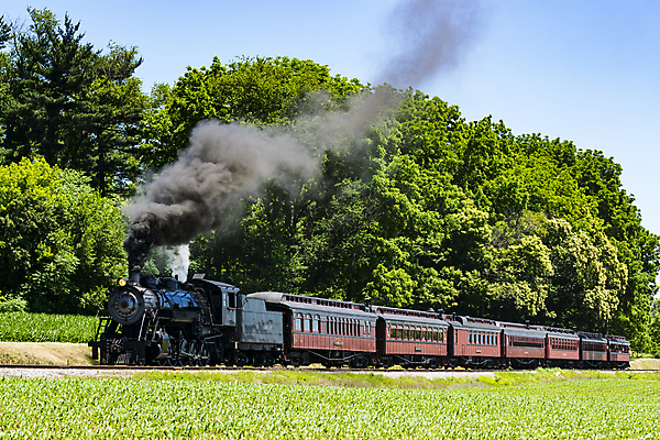 포토 JPG 해외이미지 주간 나무 풍경 사람없음 야외 기차 연기 증기기관차 해외포토 자연요소 식물 육상교통 대중교통 파일형식 이미지허브