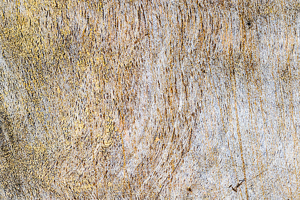 포토 JPG 해외이미지 나무 식물 디자인 벽 가구 백그라운드 패턴 곡선 자연 벽지 표면 추상 바닥 주택 사람없음 목재 장식 빨간색 갈색 줄무늬 수확 소나무 판넬 거친 균열 묘사 질감 복고 통나무 먼지 잡동사니 거짓 수목 엘리먼트 옛날 해외포토 선 컬러 생활용품 무늬 농업 재료 모션 건물 생태계 파일형식 이미지허브