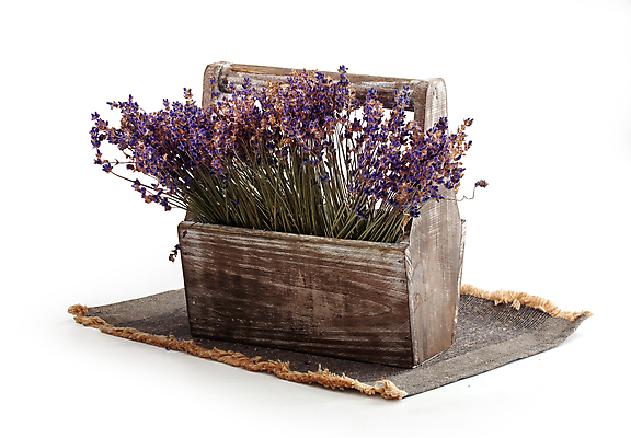 포토 JPG 해외이미지 식물 꽃 클리핑패스 꽃다발 자연 건조 손잡이 사람없음 목재 장식 상자 벚꽃 시골 직물 다발 배열 허브 냅킨 아로마 향 라벤더 내추럴 고립 수목 원예사 프로방스 해외포토 나무 직업 재료 생태계 파일형식 이미지허브