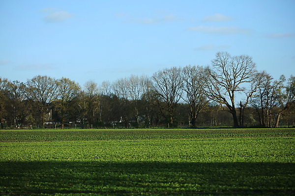 포토 JPG 해외이미지 구름 라이프스타일 응시 남자 행복 도로 스포츠 여행 포즈 비즈니스 창문 교통시설 모션 자동차 자연 하늘 실내 관리 안전 사람 앉기 성인 사람없음 야외 선글라스 태양 일출 일몰 운전 자유 판넬 바퀴 고속도로 운전사 땅 속도 추적 자동 해외포토 자연요소 직업 시선 감정 안경 길 육상교통 교통 컨셉 내부 생활 노을 시설 생태계 파일형식 이미지허브