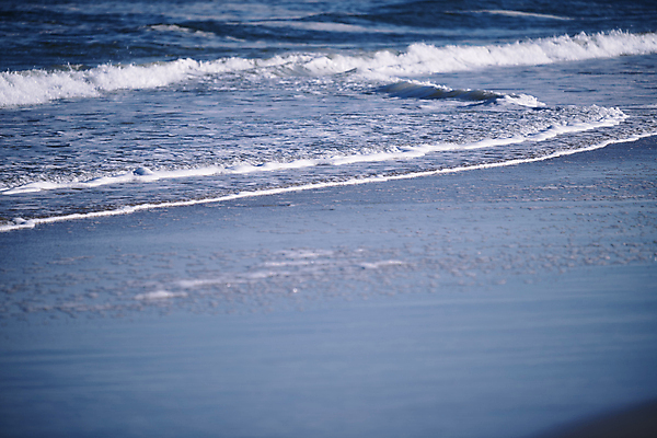 포토 JPG 해외이미지 계절 파도 바다 여행 자연 조류 날씨 휴가 풍경 사람없음 가로 물 여름 관광지 환경 미국 고요 자유 신선 서핑 수면 신비 캘리포니아 태평양 이국적 해외포토 자연요소 동물 컨셉 북아메리카 수상스포츠 생태계 파일형식 이미지허브