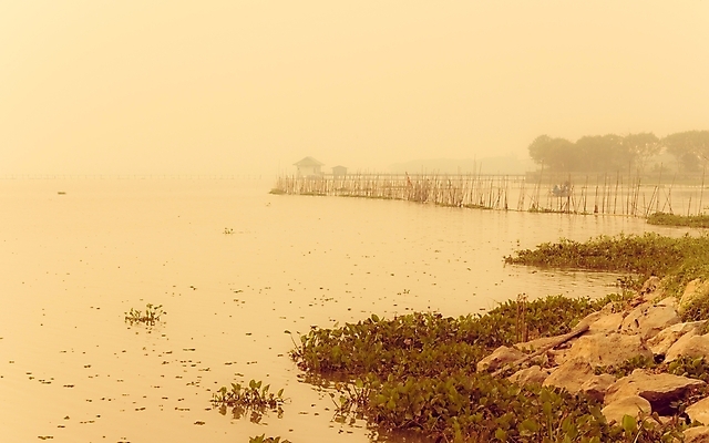 포토 JPG 해외이미지 나무 식물 구름 호수 여행 잎 밭 자연 벽지 날씨 노르웨이 이끼 풍경 사람없음 물 여름 햇빛 반사 일출 환경 계곡 일몰 놀람 새벽 수확 안개 골동품 가을 신선 황무지 재산 숲 신비 언덕 복고 공상 해외포토 자연요소 계절 감정 유럽 컨셉 농업 표정 금융 태양 노을 생태계 파일형식 이미지허브