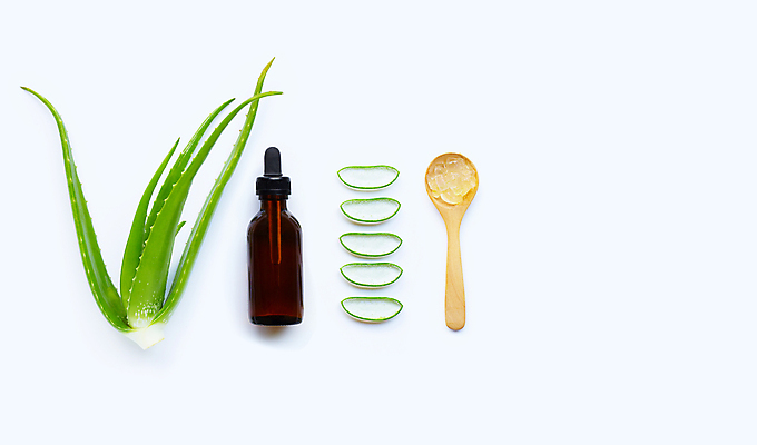 포토 JPG 해외이미지 사람없음 숟가락 촉촉함 피부관리 흰배경 슬라이스 수분크림 알로에 알로에베라 해외포토 식물 백그라운드 수저 뷰티 화장품 젖음 흰색 파일형식 이미지허브