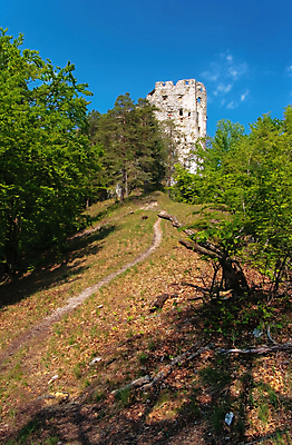포토 JPG 해외이미지 나무 유럽 여행 백그라운드 잎 건축양식 자연 하늘 산 풍경 사람없음 야외 건물 목재 초록색 빛 햇빛 환경 탑 침묵 일몰 가을 시골 성 중세 역사 재산 황금 숲 언덕 만족 내추럴 삼림지대 슬로바키아 파멸 해외포토 식물 건축물 계절 건축 감정 나라 컬러 컨셉 재료 금융 태양 노을 소리 생태계 파일형식 소멸 이미지허브