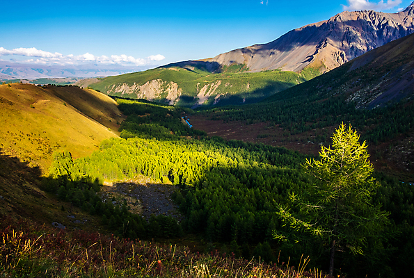 포토 JPG 해외이미지 여행 백그라운드 자연 하늘 파노라마 국립공원 사람없음 초록색 여름 빛 태양 반사 등산 트래킹 가을 연못 6월 9월 그림 빙하 러시아 알프스 영토 암초 8월 7월 양발 절정 해외포토 자연요소 계절 공원 유럽 컬러 레저 촬영기법 날짜 생태계 파일형식 이미지허브
