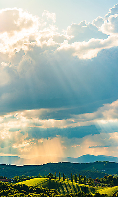 포토 JPG 해외이미지 배너 계절 유럽 여행 백그라운드 밭 농업 자연 파노라마 풍경 사람없음 초록색 여름 농작물 태양 농장 환경 와인 일몰 시골 오스트리아 언덕 유기농 포도밭 내추럴 밭일 슬로베니아 양조장 줄서기 세련 해외포토 자연요소 웰빙 나라 산업 컬러 모션 주류 촬영기법 노을 생태계 파일형식 이미지허브