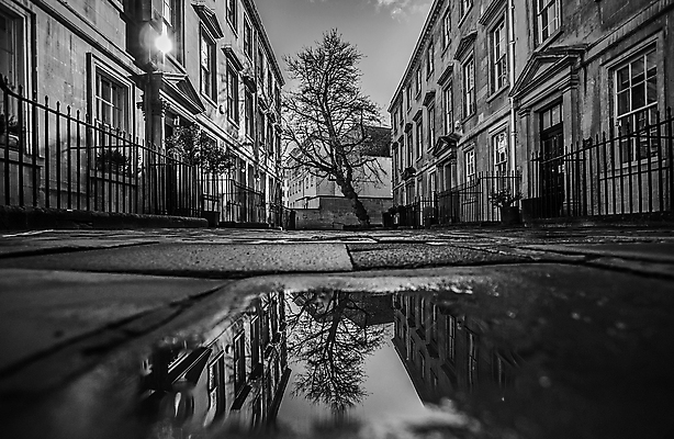 포토 JPG 해외이미지 나무 흑백 사람없음 물 반사 보행로 해외포토 자연요소 식물 길 촬영기법 파일형식 이미지허브