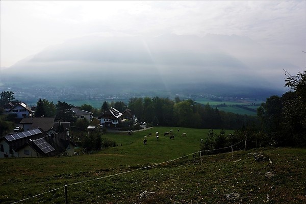 포토 JPG 해외이미지 동물 유럽 여행 백그라운드 밭 자연 하늘 휴가 산 풍경 사람없음 야외 초록색 여름 농장 갈색 마을 계곡 안개 흰색 시골 소 스위스 언덕 에코 알프스 내추럴 밭일 뿌연 해외포토 계절 나라 컬러 농업 포유류 날씨 환경 생태계 파일형식 이미지허브