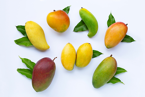 포토 JPG 해외이미지 잎 실내 종류 사람없음 여러개 열대과일 흰배경 망고 애플망고 해외포토 식물 다수 백그라운드 과일 내부 흰색 파일형식 이미지허브