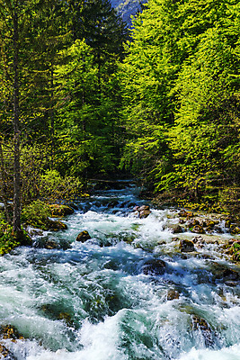 포토 JPG 해외이미지 나무 공원 유럽 호수 여행 하늘색 백그라운드 자연 하늘 산 풍경 사람없음 야외 초록색 물 여름 강 침묵 봄 흐름 추위 바위 신선 개울 숲 알프스 장면 내추럴 슬로베니아 전국 터키석 해외포토 자연요소 식물 계절 공공시설 나라 컬러 컨셉 파란색 소리 돌_바위 보석 생태계 파일형식 이미지허브