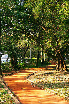 포토 JPG 해외이미지 나무 식물 디자인 공원 도로 길 백그라운드 잎 밭 곡선 자연 휴식 따뜻함 풍경 잔디 사람없음 야외 빨간색 초록색 빛 햇빛 태양 일출 환경 정원 맑음 일몰 산책 신선 도시 숲 오솔길 점토 단계 내추럴 방법 해외포토 자연요소 공공시설 선 컬러 컨셉 농업 교통시설 날씨 노을 생태계 파일형식 이미지허브